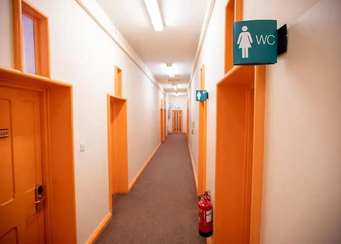 Auberge de jeunesse College Hospitality