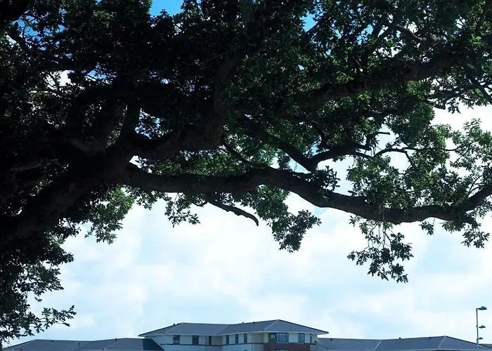 Vandrarhem College Hospitality *