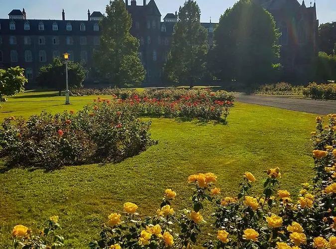 Auberge de jeunesse College Hospitality Maynooth